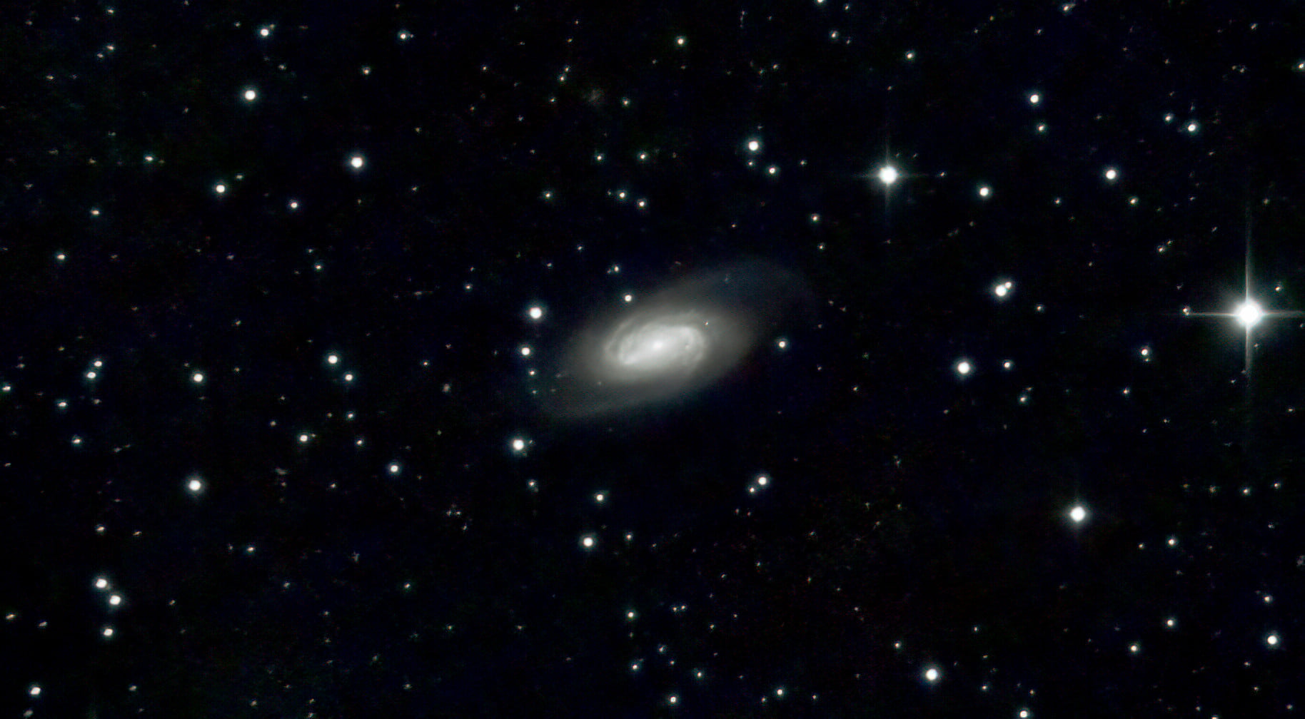 NGC2903 by IMX462