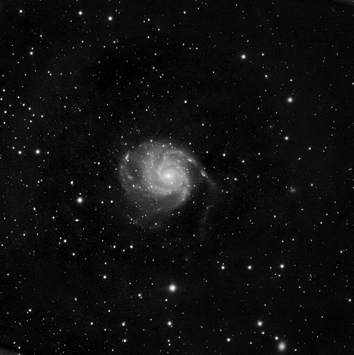 M101_20200418.jpg