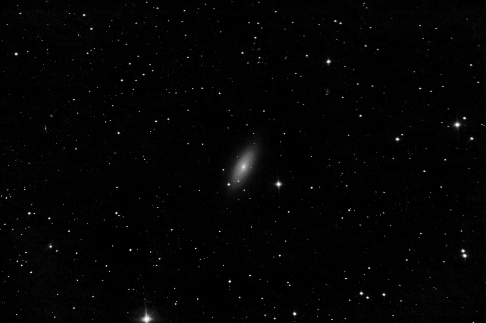 NGC2841_20210216.jpg